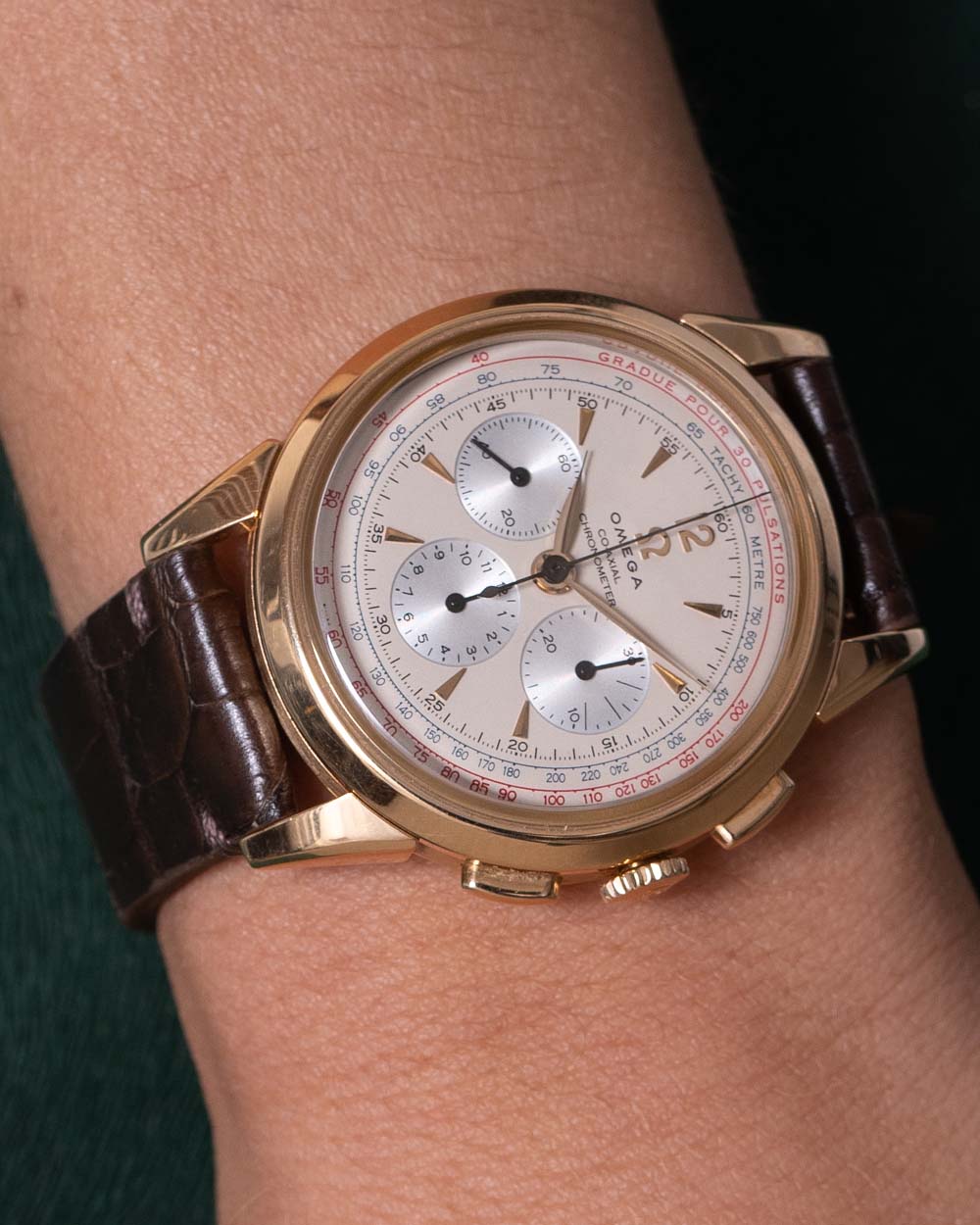 Pulseira de Crocodilo Marrom