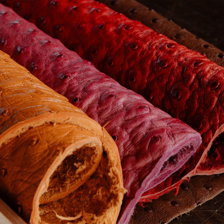 Avestruz Tradicional