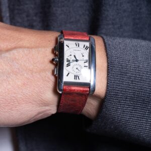 Pulseira de Avestruz Corpo