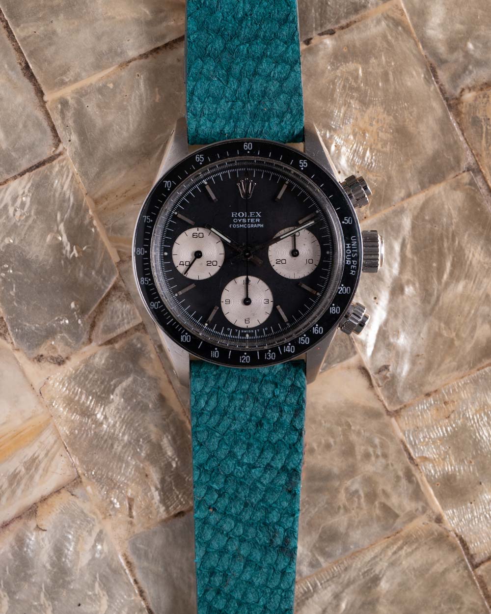Pulseira de Corvina Boreal