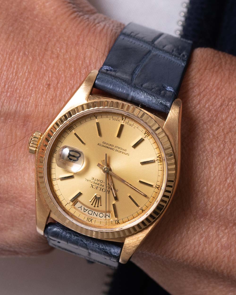 Pulseira de Crocodilo - Imagem 10