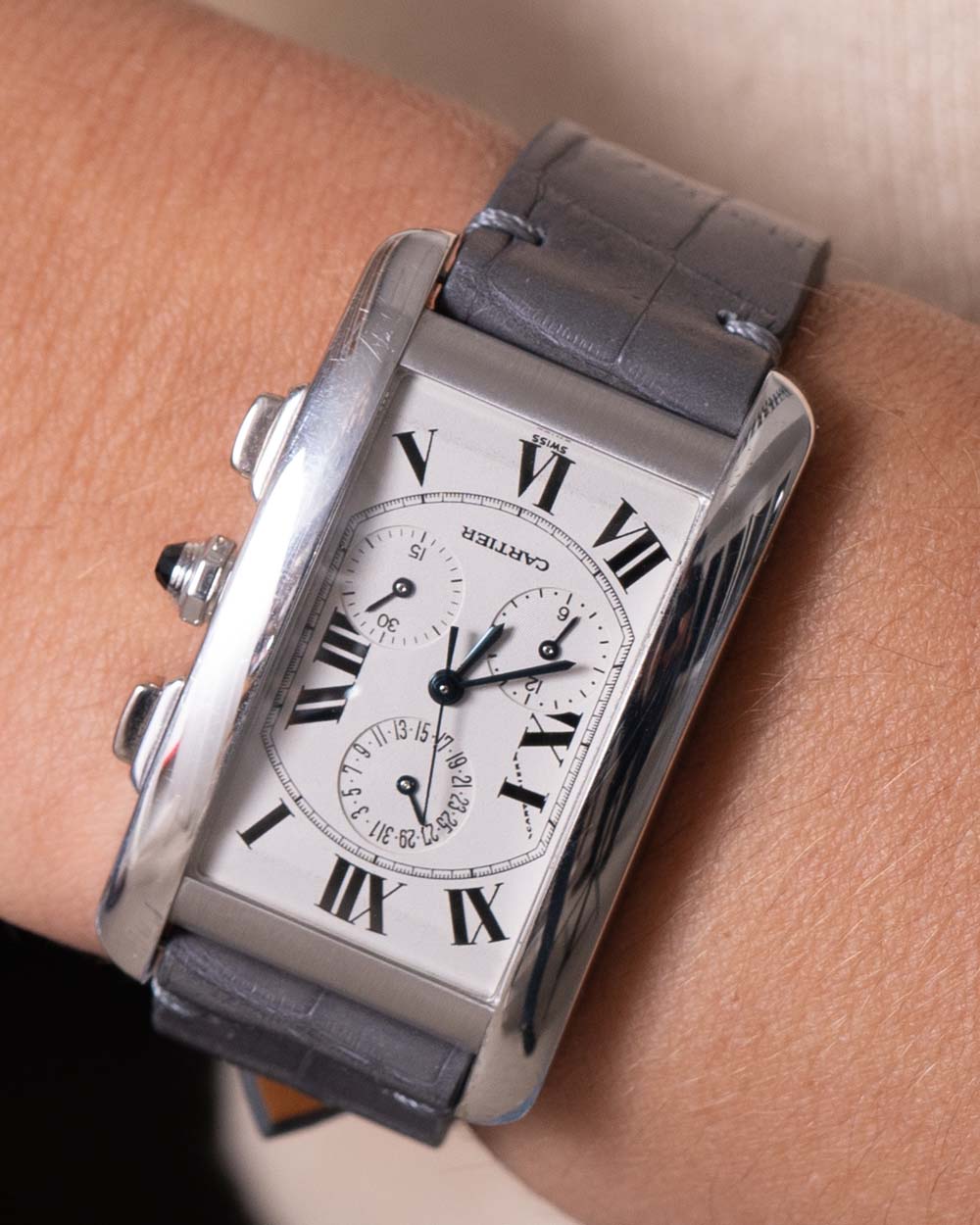 Pulseira de Crocodilo Cinza - Imagem 2